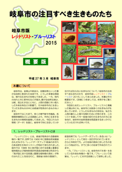 概要版( pdf ： 1276KB )