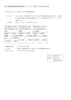 所得にかかわりなく補助するもの（市単独補助制度） PDF形式