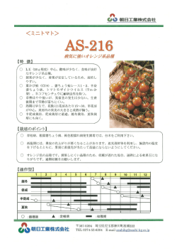 詳細〔PDF：396KB〕