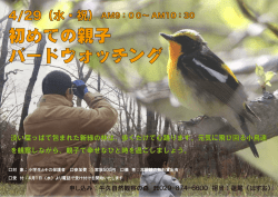 初めての親子 バードウォッチング