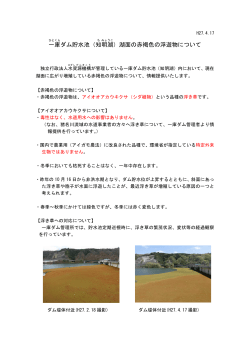 湖面の赤褐色の浮遊物について - 独立行政法人 水資源機構