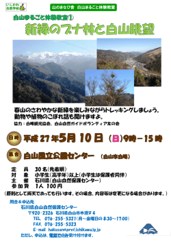 案内チラシ（PDF：523KB）