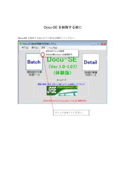 Docu-SE を削除する前に