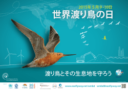 世界渡り鳥の日