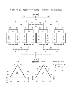 南部リーグ49回