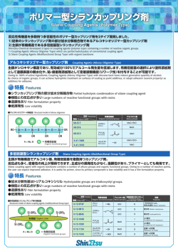ポリマー型シランカップリング剤 Silane Coupling Agents (Polymer Type)