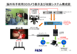 脳外科手術用3Dカメラ表示及び収録システム構成図