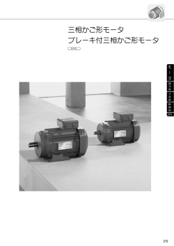 三相かご形モータ ブレーキ付三相かご形モータ