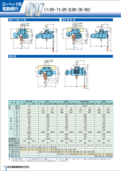 ローヘッド形 電動横行 （1/2t・1t・2t・2.8t・3t・5t）