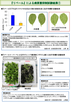 リペールによる病原菌抑制試験結果