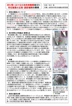 消化管における生体防御機構並びに常在細菌の定着・調整機構の解明