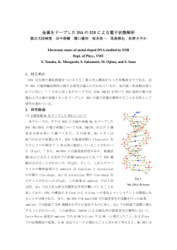 金属をドープした DNA の ESR による電子状態解析