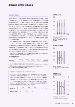 経営成績および財政状態の分析
