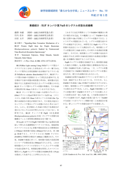 業績紹介：BLUF タンパク質 PapB のシグナル状態生成機構