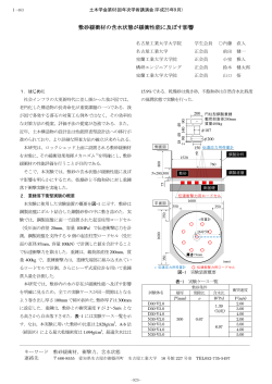 敷砂緩衝材 含水状態 緩衝性能 及 影響