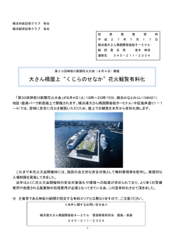 大さん橋屋上“くじらのせなか” - 横浜港大さん橋国際客船ターミナル