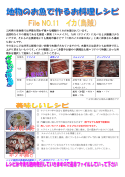 三河湾の各漁港では季節を問わず様々な種類のイカが水揚されています