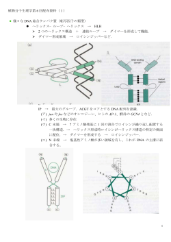 植物分子生理学第 6 回配布資料（1） 様々な DNA 結合タンパク質（転写