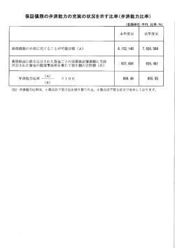 保証債務の弁済能力の充実の状況を示す比率(弁済能力比率) (金額
