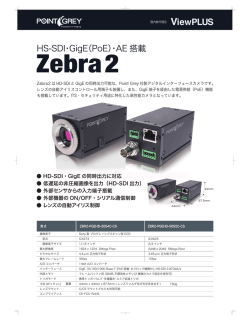 HS-SDI・GigE（PoE）・AE 搭載
