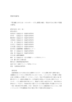 平成17年度(pdf file)