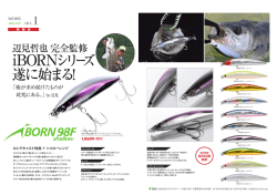 iBORNシリーズ 遂に始まる！