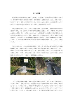 ホタル事業
