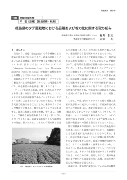 徳島県のタデ藍栽培における品種および省力化に関する取り組み