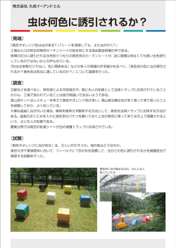 虫は何色に誘引されるか（実験の詳細PDF）
