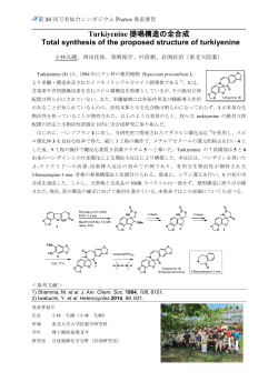 Turkiyenine 提唱構造の全合成 Total synthesis of the proposed