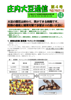 大豆の開花は終わり、莢ができる時期です。 防除の徹底と雑草対策で