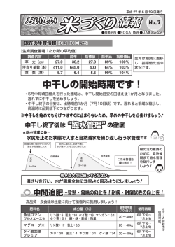 中干しの開始時期です！