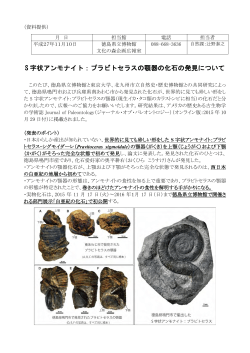 S 字状アンモナイト：プラビトセラスの顎器の化石の発見について