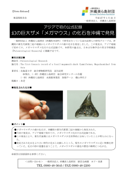 「メガマウス」の化石を沖縄で発見