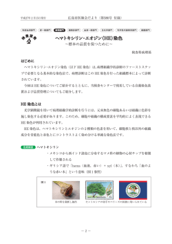 ヘマトキシリン・エオジン（HE）染色 - 一般社団法人 広島市医師会臨床