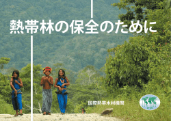 ITTO資金調達用パンフレットのダウンロード