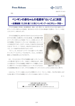 ペンギンの赤ちゃんの名前を『たいこ』に決定