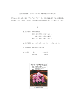 武甲山資料館 チチブイワザクラ特別展示のお知らせ（2015.04）