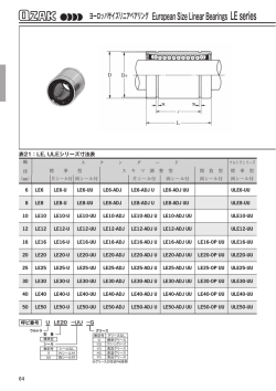 ヨーロッパサイズリニアベアリング European Size Linear Bearings LE