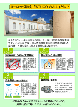 1 2 3 4 ヨーロッパ漆喰「ESTUCO WALL」とは？