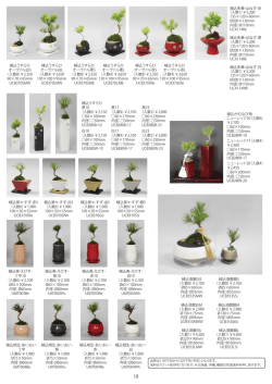 植込うすらひ オーヴァル白S （入数8）￥2,350 90&times;70&times;65mm