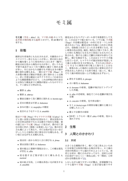 モミ属
