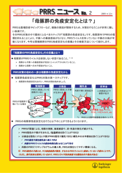 䇸母豚群の免疫安定化とは?」 2