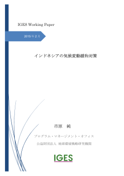 インドネシアの気候変動緩和対策 市原 純