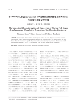 ホソウミチョウArgulus caecus（甲殻亜門顎脚綱鰓尾亜綱チョウ目） の