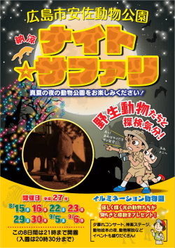 ナイトサファリのチラシ