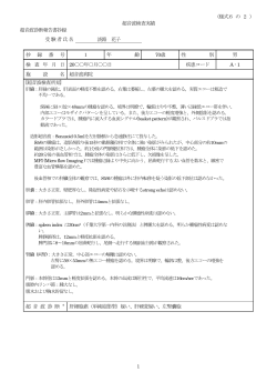 記入例1 - 日本超音波医学会