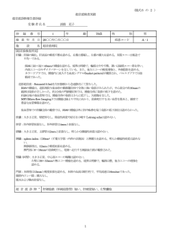 記入例1 - 日本超音波医学会