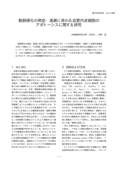 動脈硬化の発症・進展に係わる血管内皮細胞の アポトーシスに関する研究