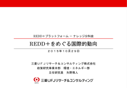 ｽﾗｲﾄﾞ ﾀｲﾄﾙなし - REDD＋プラットフォーム